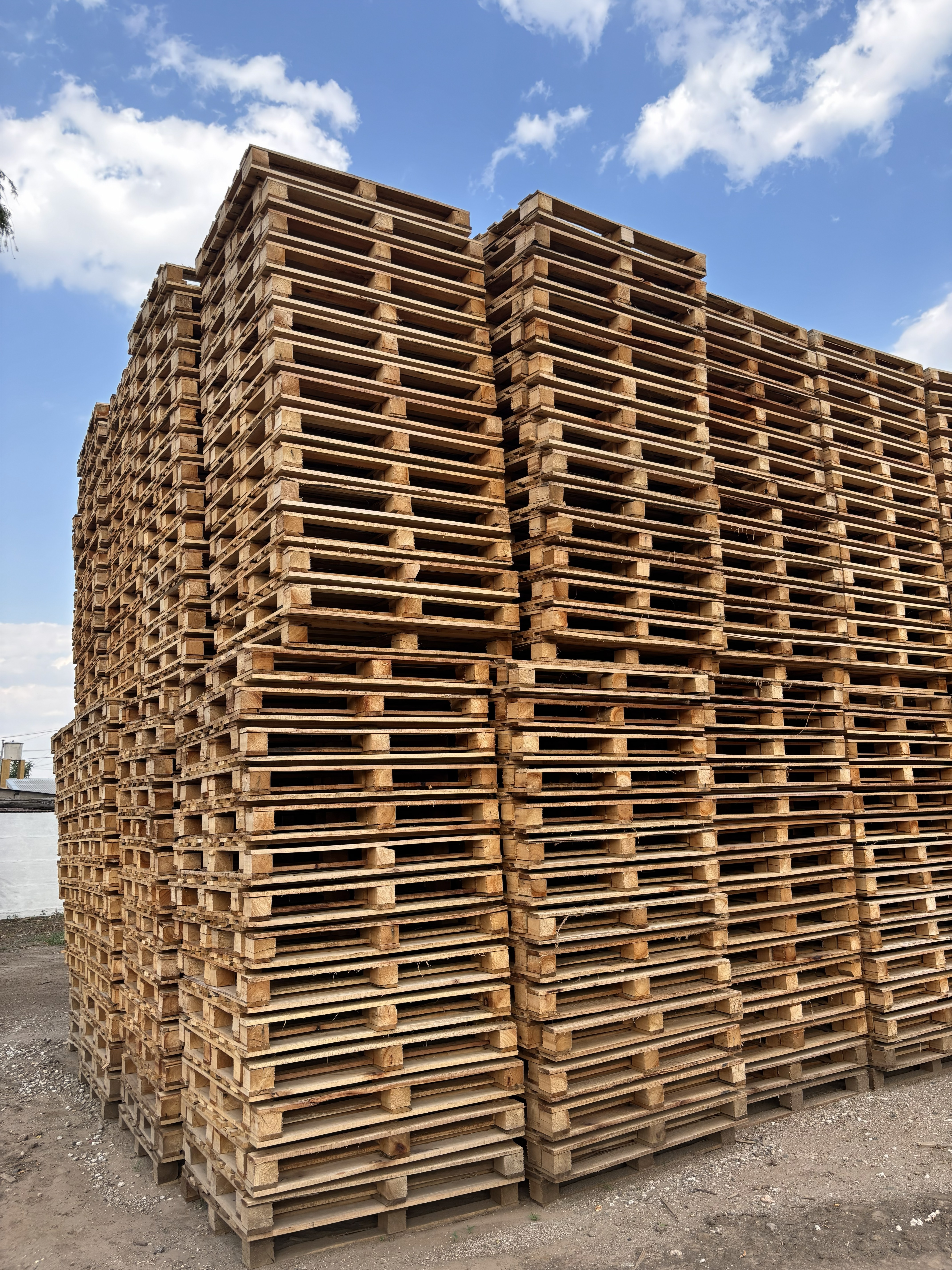 Detalle de pallets de eucalipto